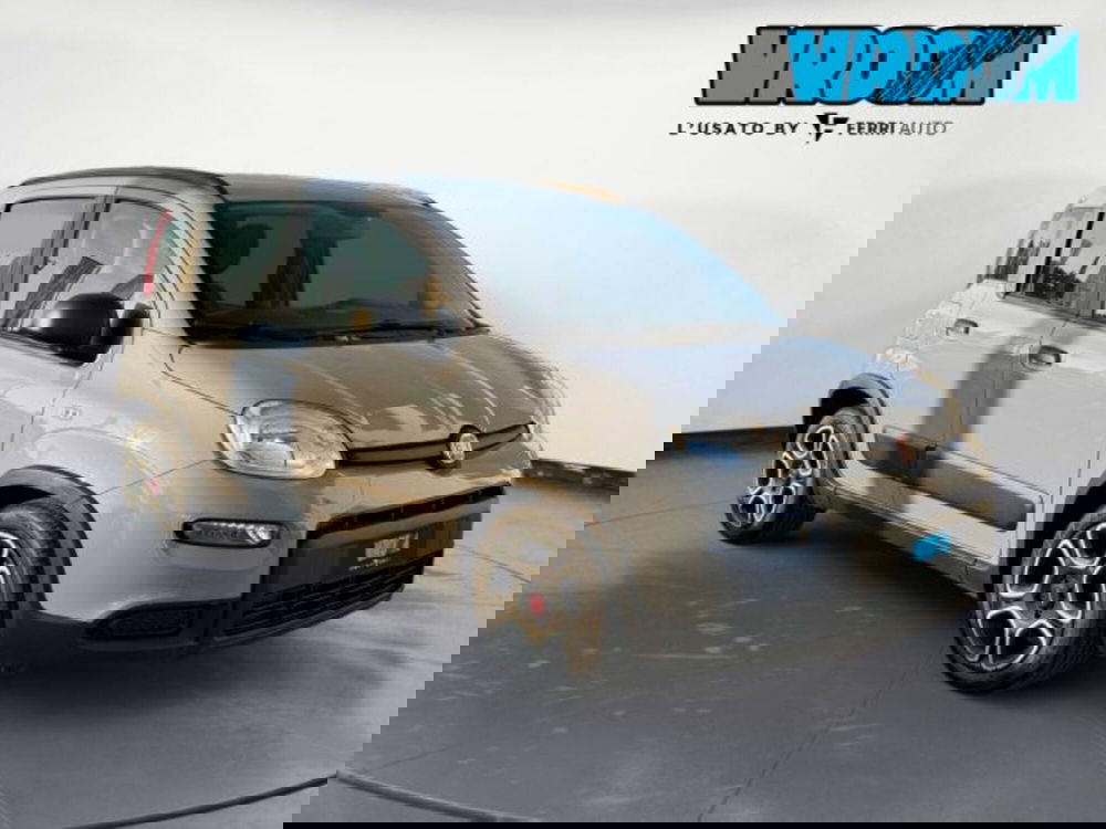 Fiat Panda usata a Treviso (3)