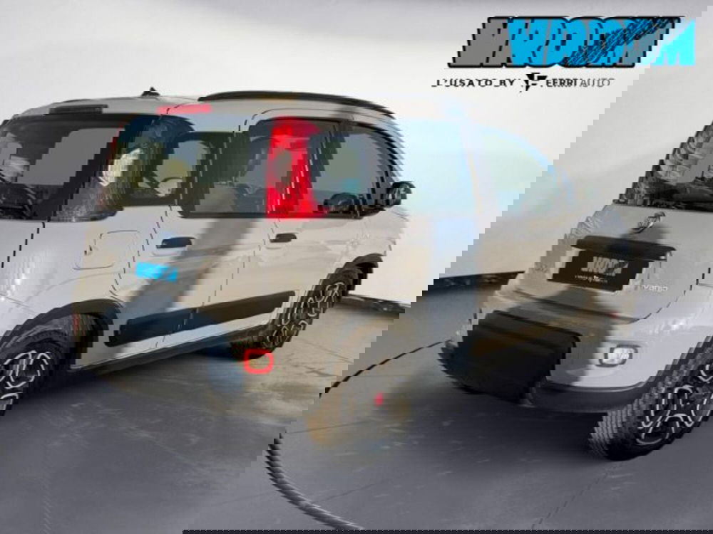 Fiat Panda usata a Treviso (6)