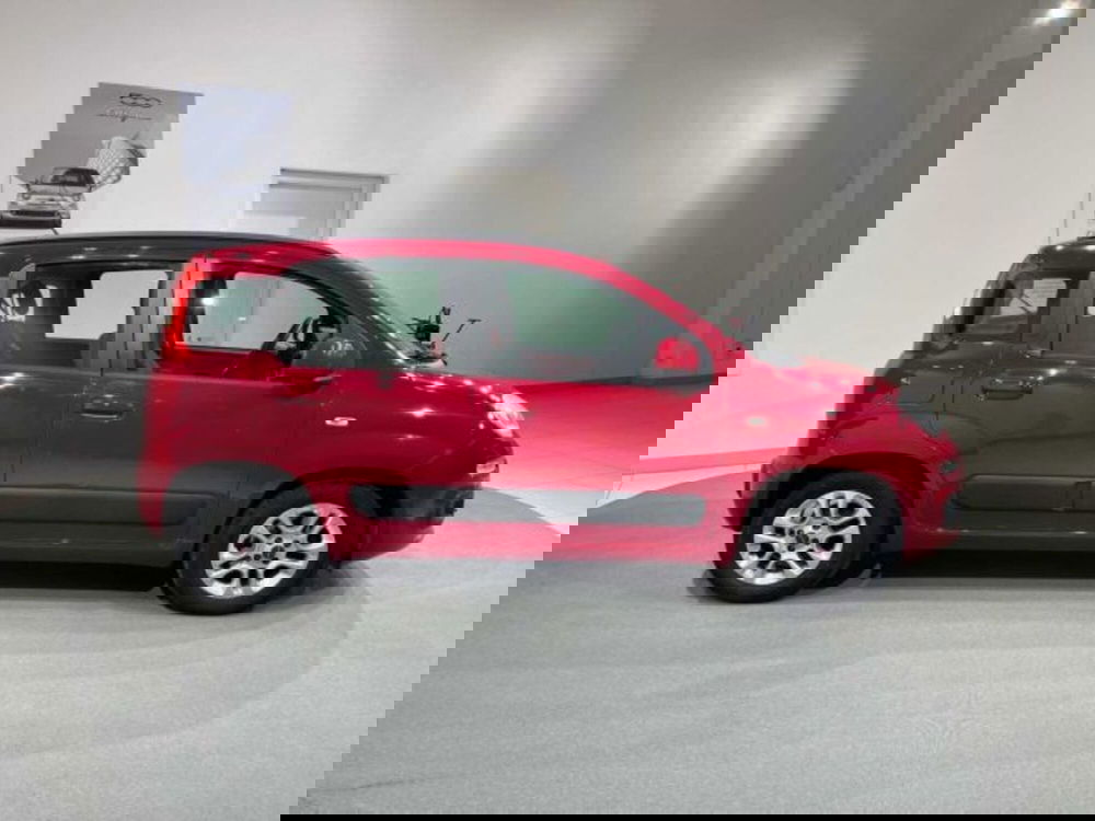 Fiat Panda usata a Sondrio (6)