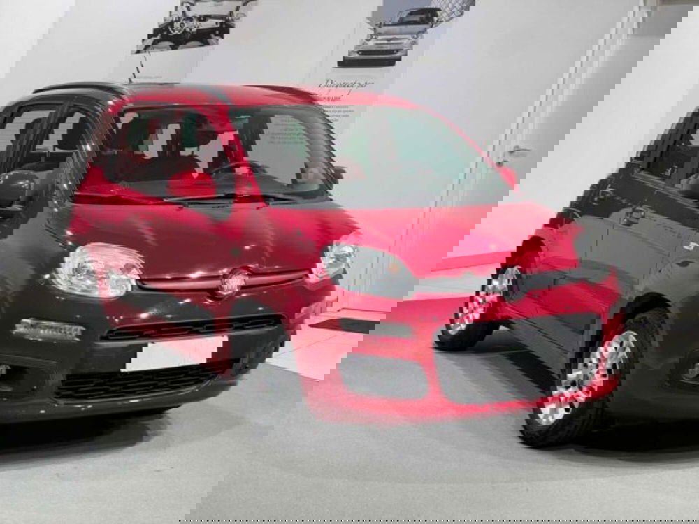 Fiat Panda usata a Sondrio (7)