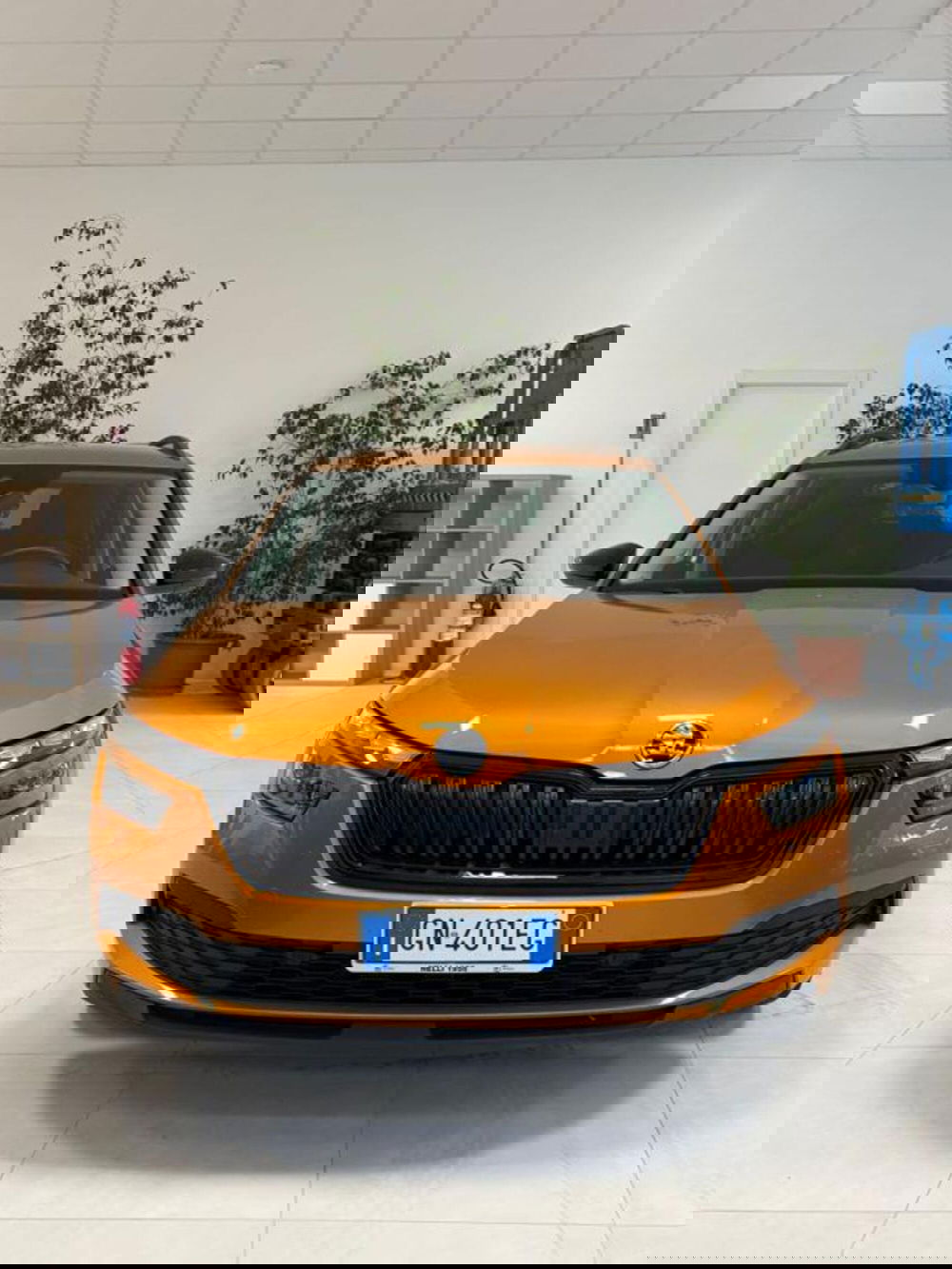 Skoda Kamiq usata a Pisa (3)