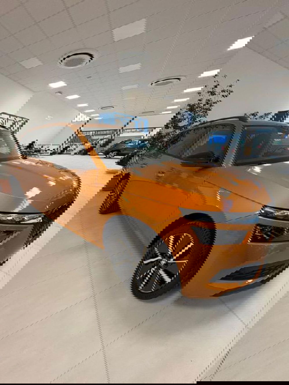 Skoda Kamiq usata a Pisa (6)