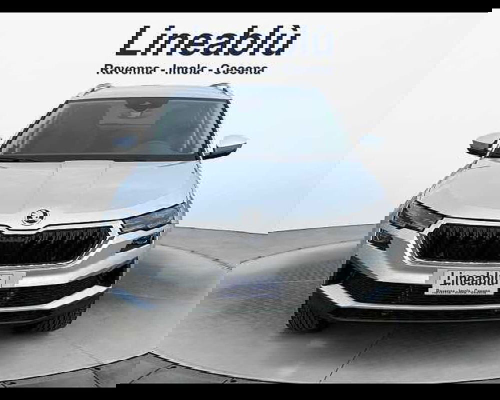 Skoda Karoq usata a Ravenna (8)