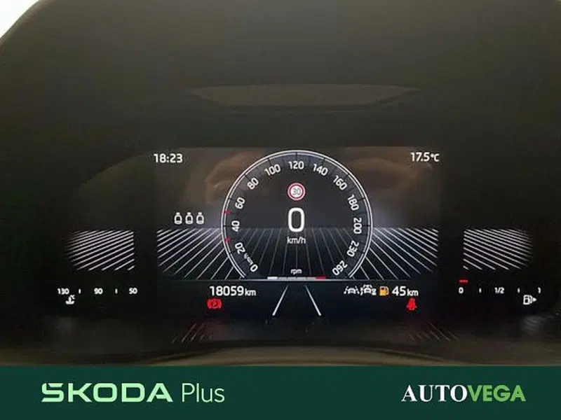 Skoda Kamiq usata a Vicenza (14)