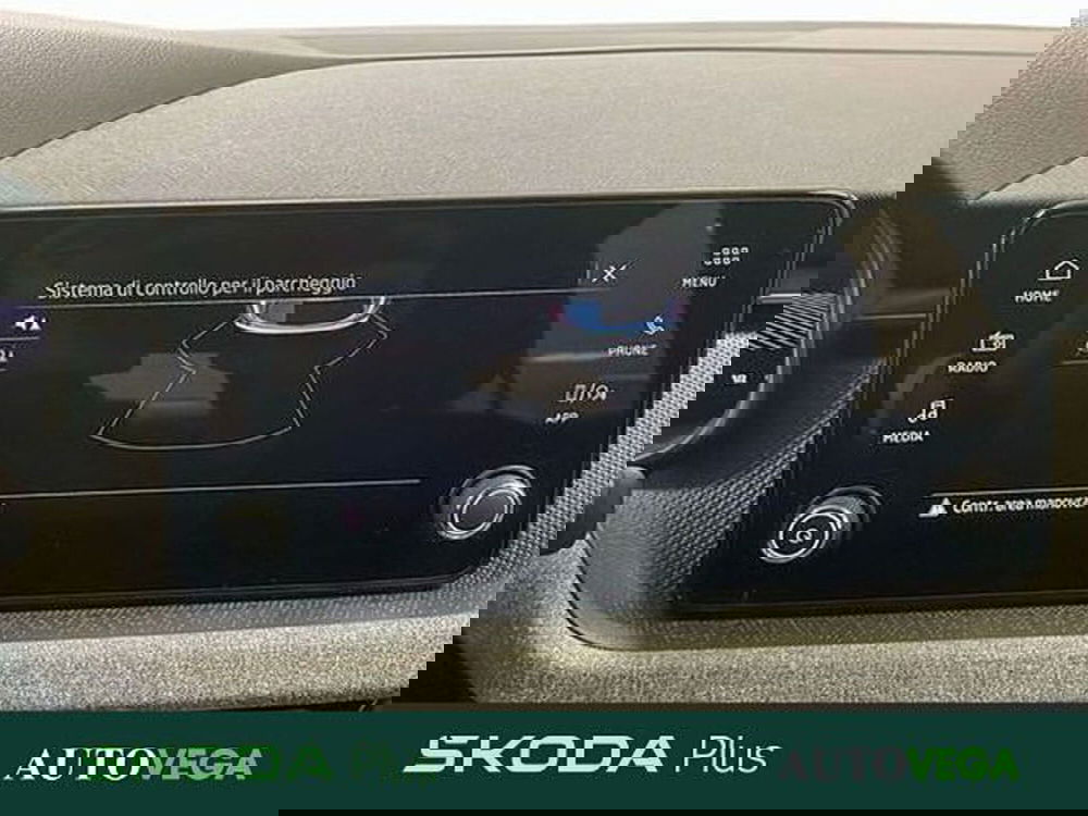 Skoda Kamiq usata a Vicenza (15)