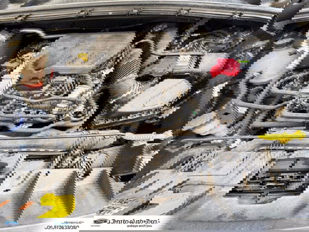 Ford Puma usata a Roma (12)