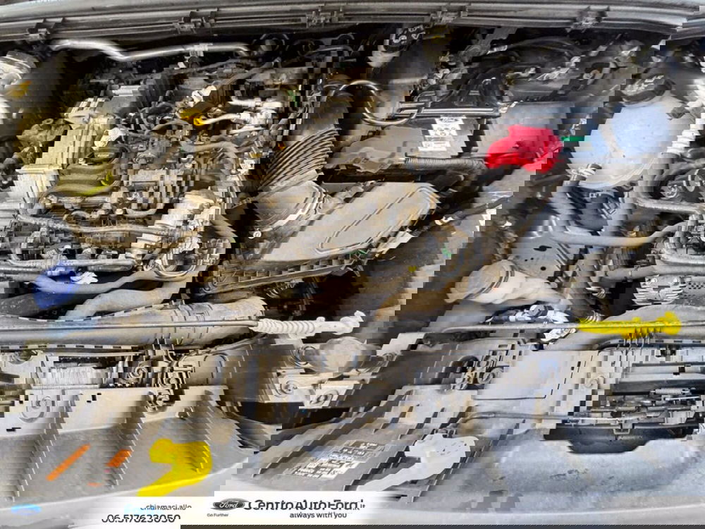 Ford Puma usata a Roma (12)