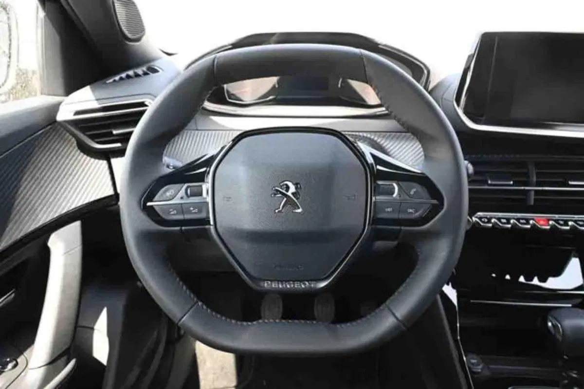 Peugeot 2008 nuova a Torino (19)