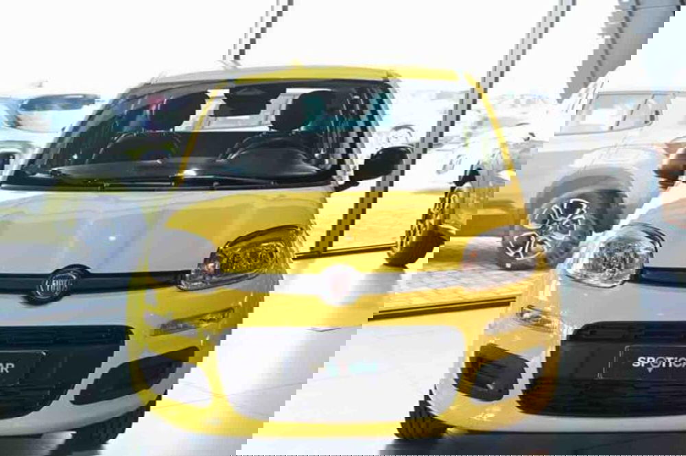 Fiat Panda nuova a Torino (2)