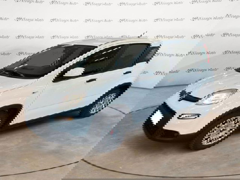 Fiat Panda usata a Vercelli