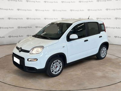 Fiat Panda 1.0 firefly hybrid s&amp;s 70cv 5p.ti del 2022 usata a Albano Vercellese