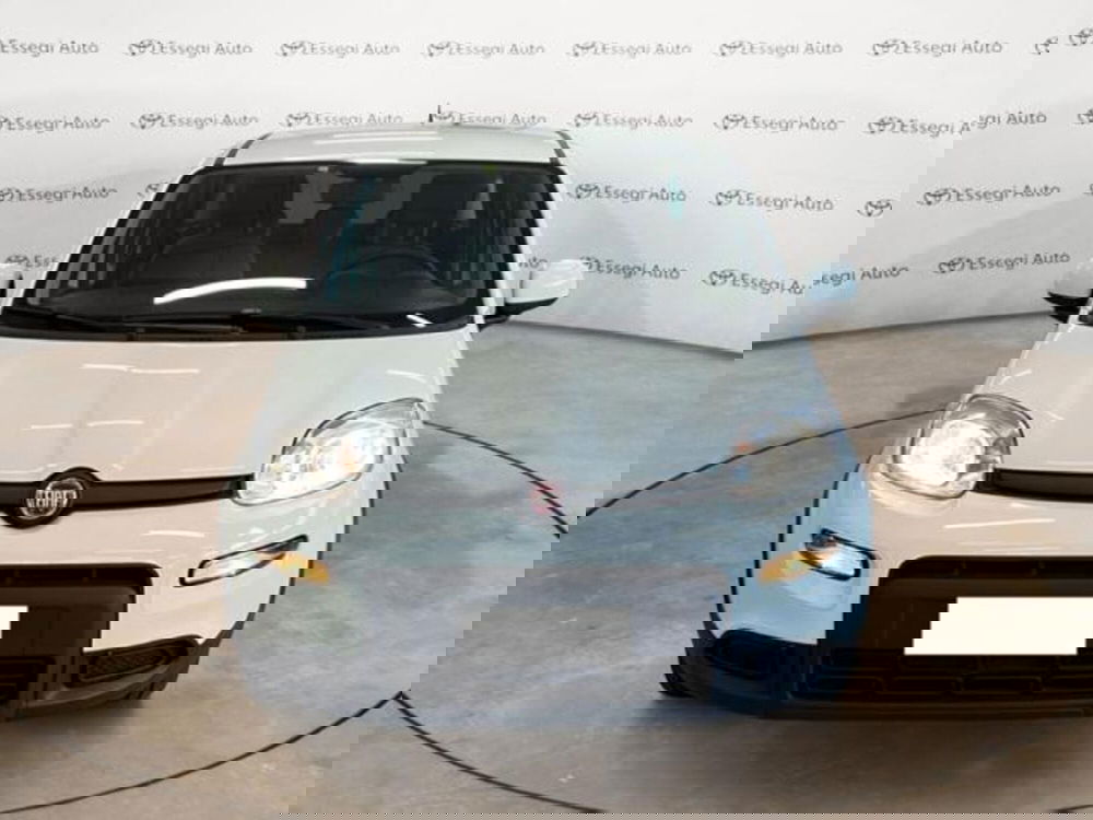 Fiat Panda usata a Vercelli (2)