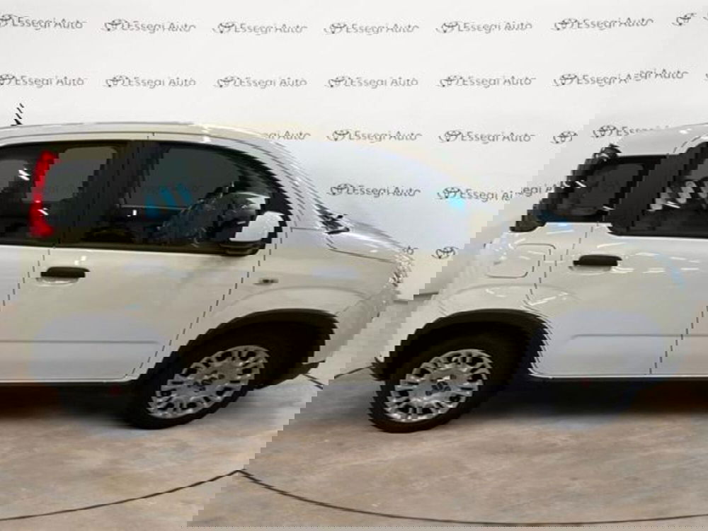 Fiat Panda usata a Vercelli (4)