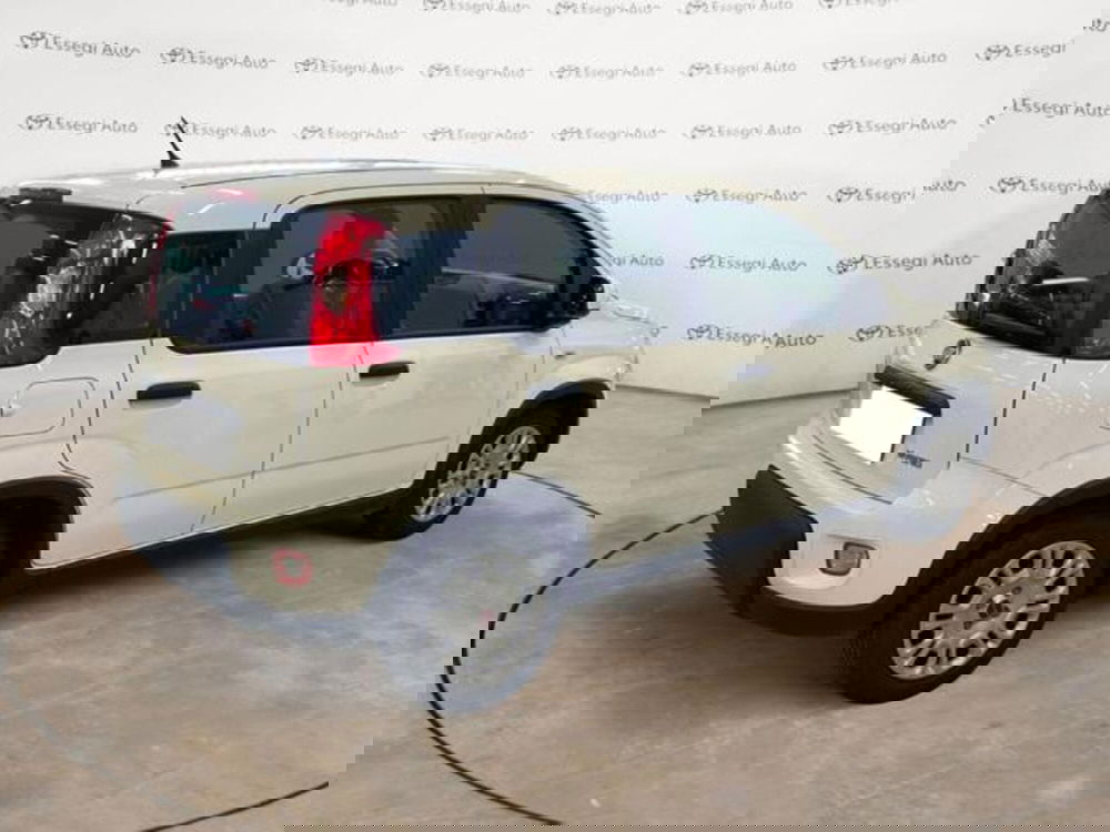 Fiat Panda usata a Vercelli (5)