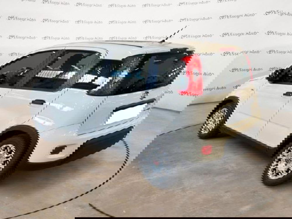 Fiat Panda usata a Vercelli (7)