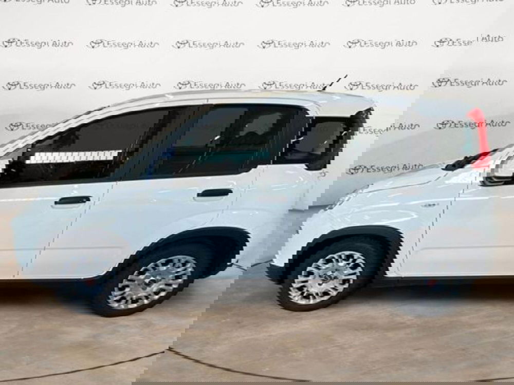 Fiat Panda usata a Vercelli (8)