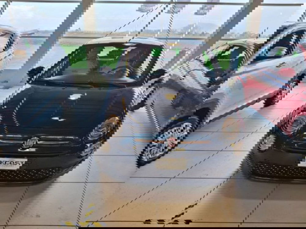 Fiat 500 usata a Vicenza (2)