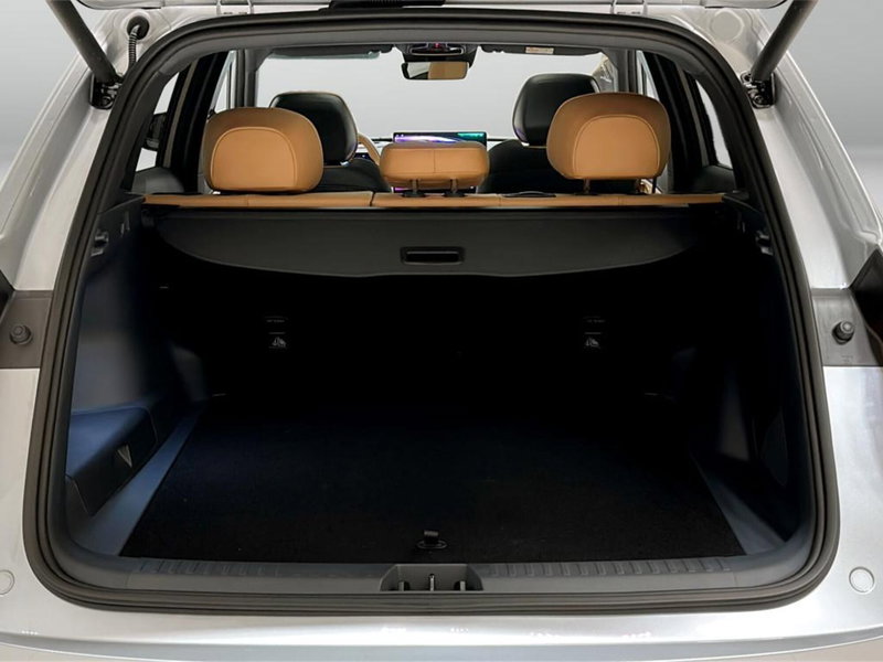 Geely Starray usata a Varese (14)