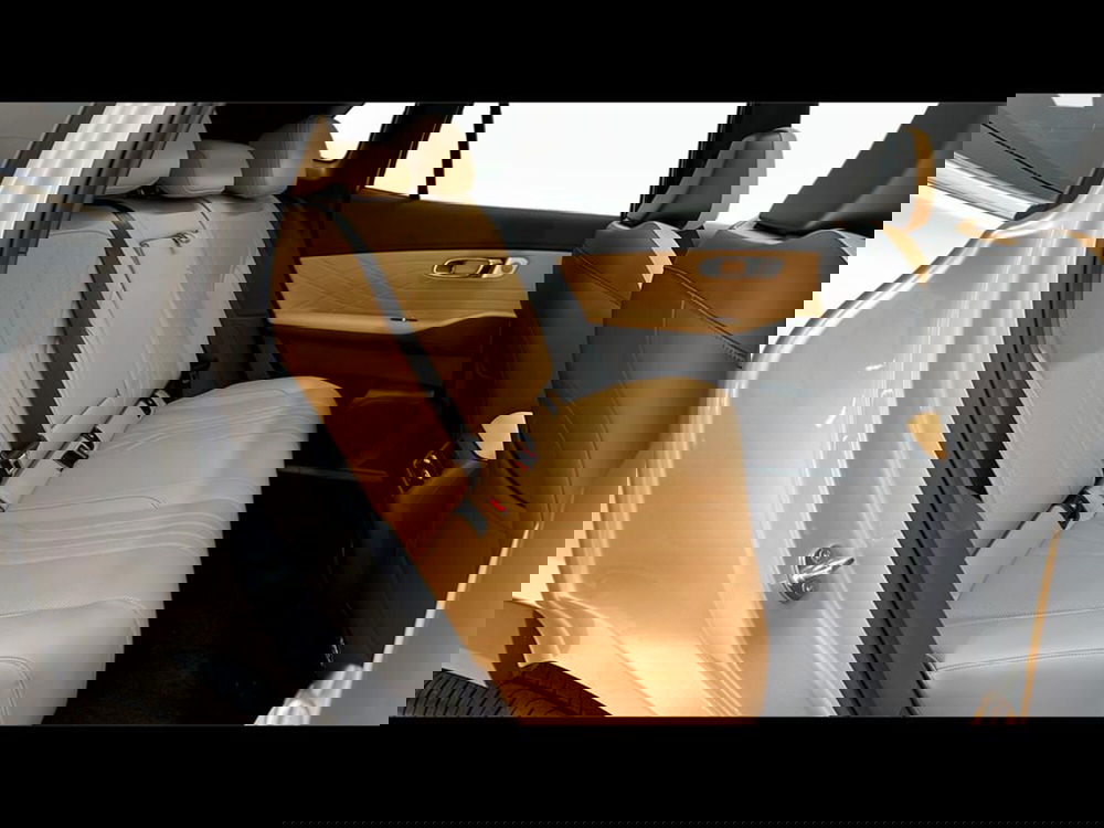 Geely Starray usata a Varese (5)