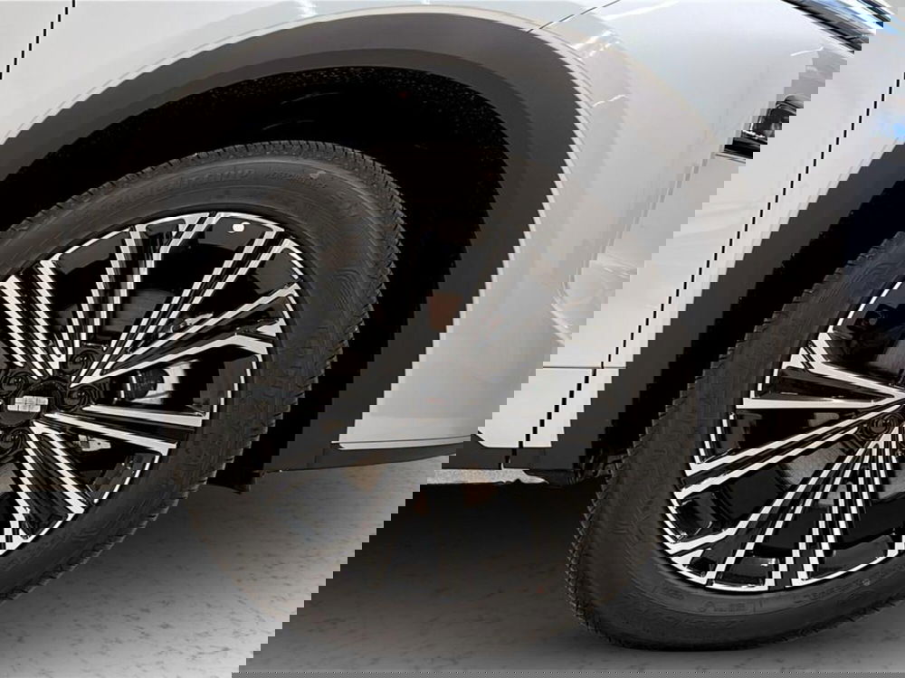 Geely Starray usata a Varese (9)