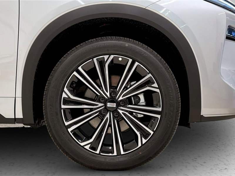 Geely Starray usata a Varese (9)