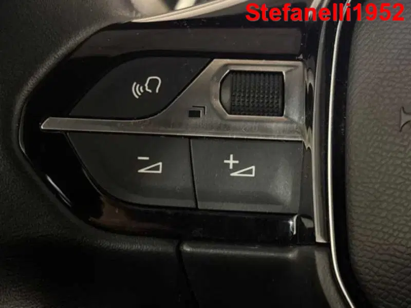 Peugeot 5008 usata a Bologna (20)