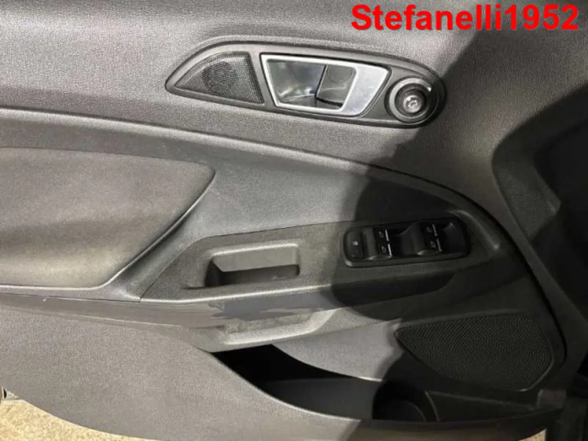 Ford EcoSport usata a Bologna (10)