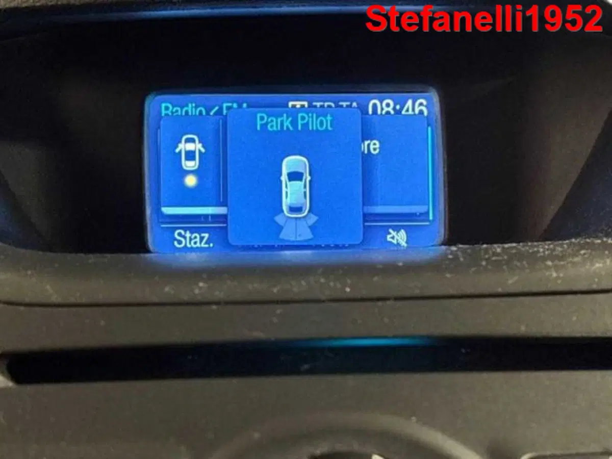 Ford EcoSport usata a Bologna (17)