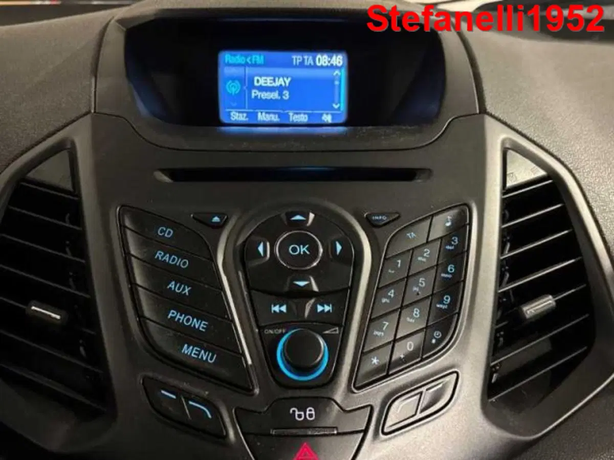 Ford EcoSport usata a Bologna (18)