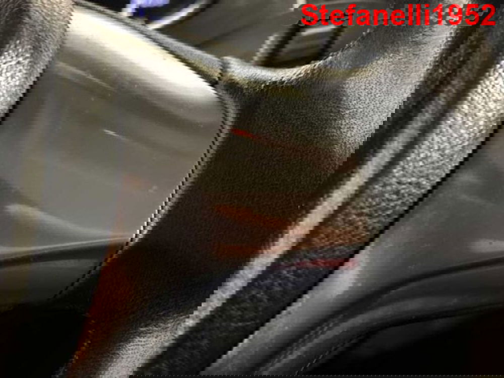 Ford EcoSport usata a Bologna (19)