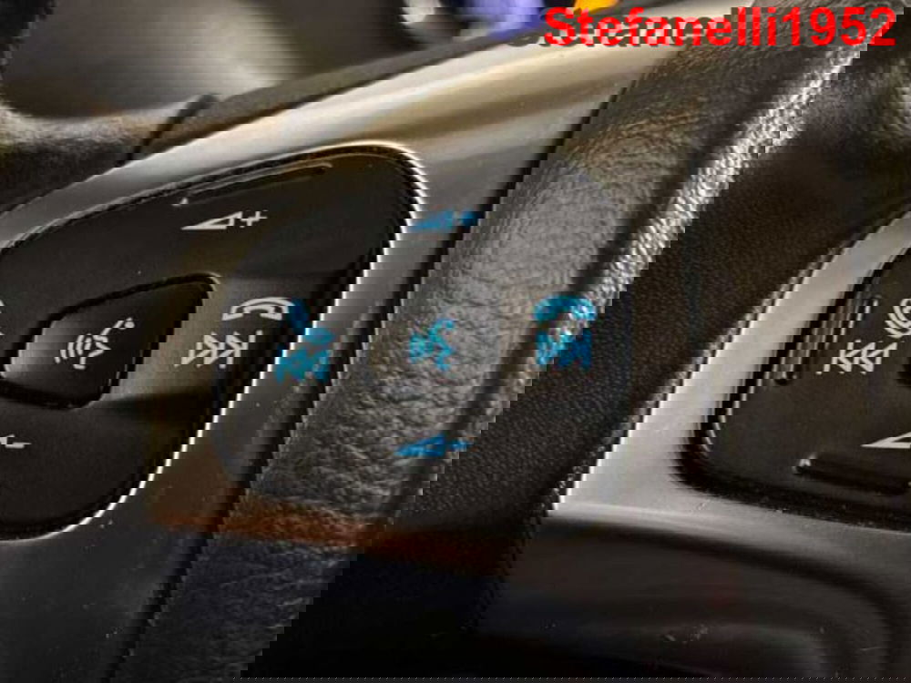 Ford EcoSport usata a Bologna (20)