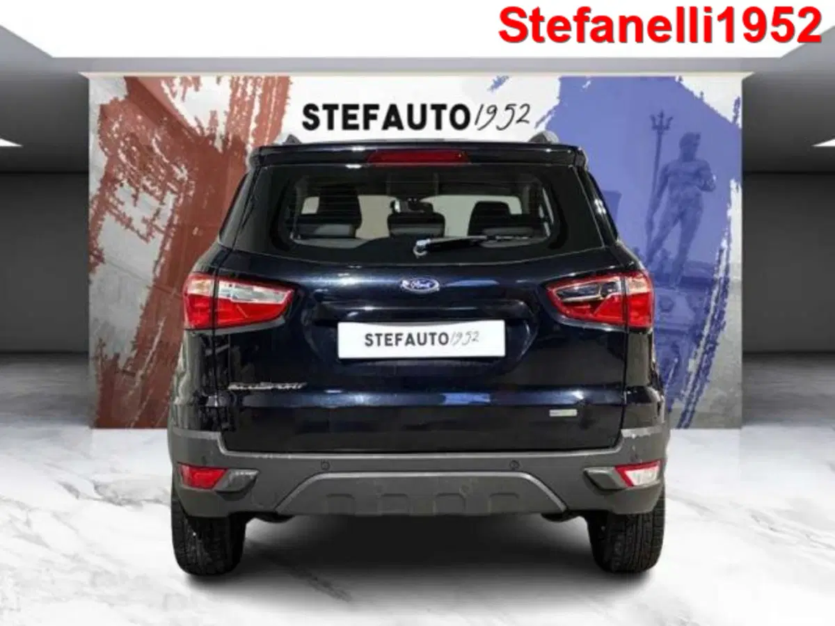 Ford EcoSport usata a Bologna (6)