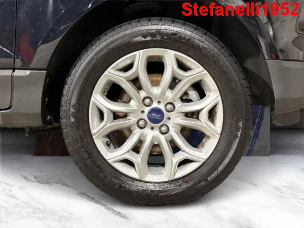 Ford EcoSport usata a Bologna (8)