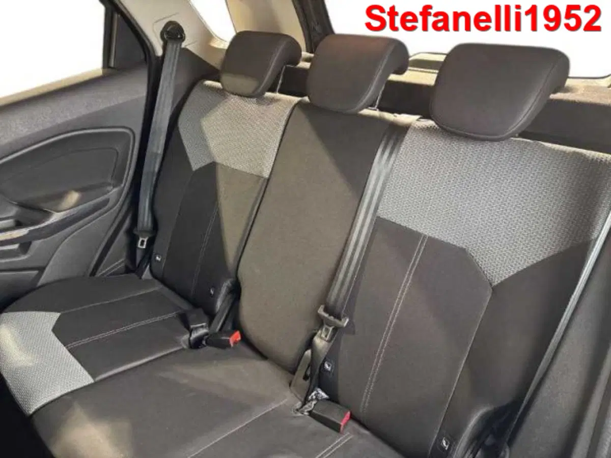 Ford EcoSport usata a Bologna (9)