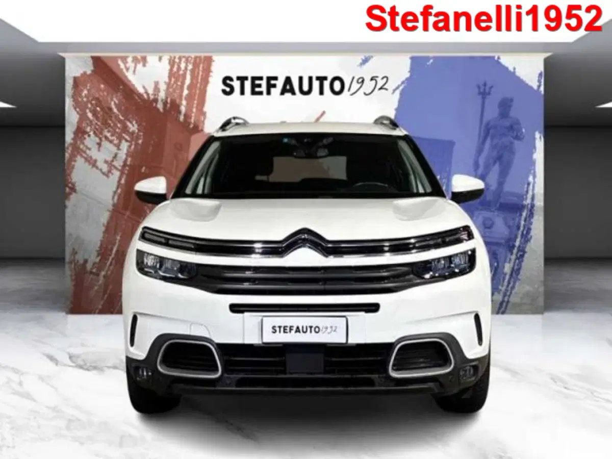 Citroen C5 Aircross usata a Bologna (2)