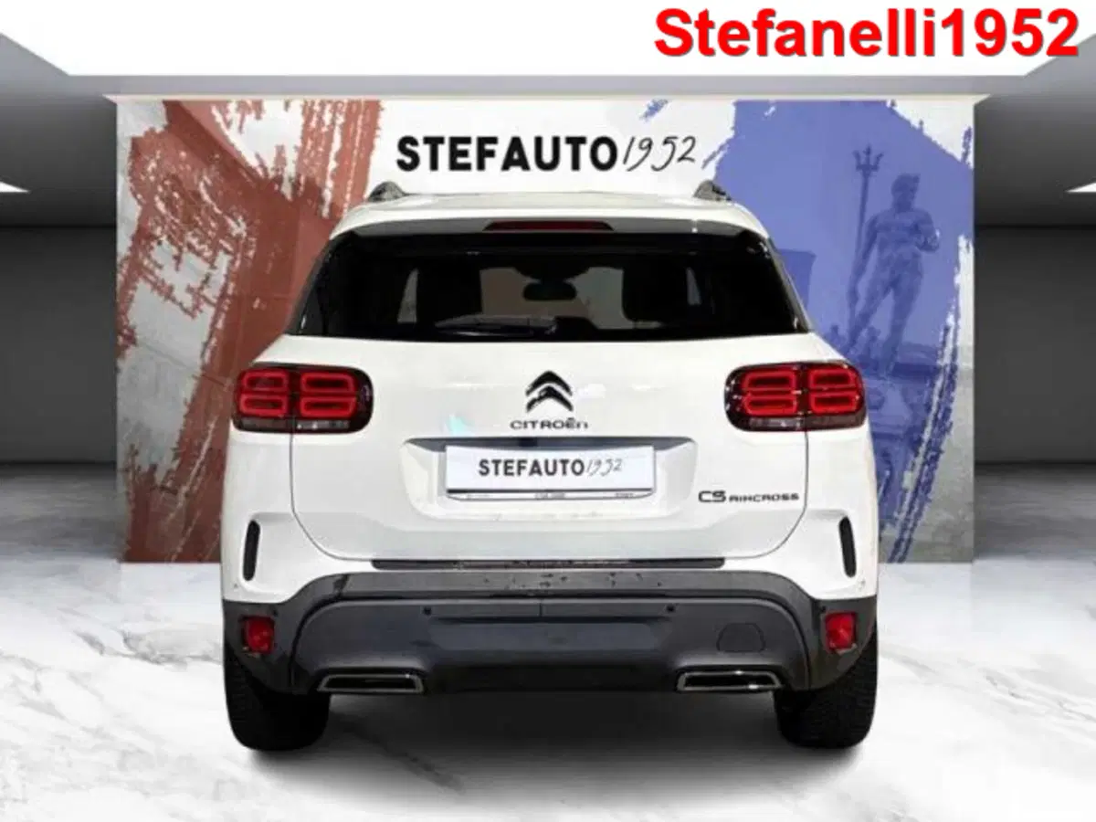 Citroen C5 Aircross usata a Bologna (6)