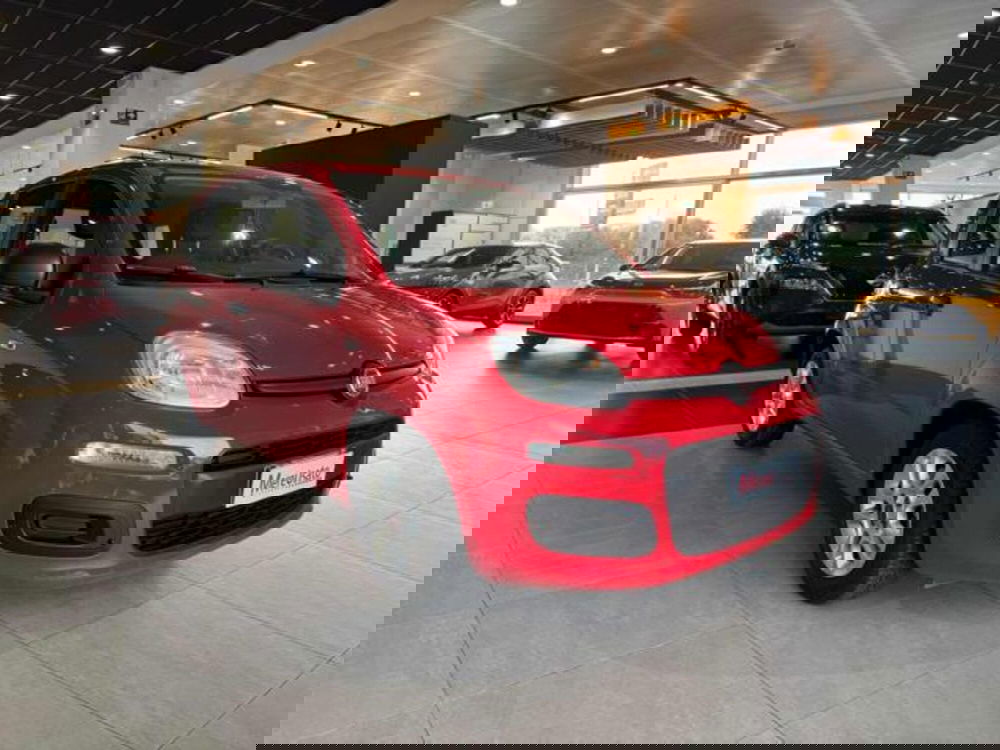 Fiat Panda usata a Sassari (3)