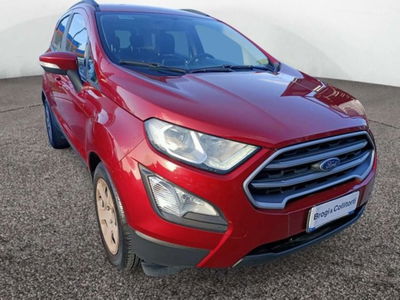 Ford EcoSport 1.5 Ecoblue 100 CV Start&amp;Stop Plus del 2018 usata a Empoli