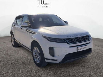Land Rover Range Rover Evoque 2.0d i4 mhev S awd 163cv auto del 2021 usata a Empoli
