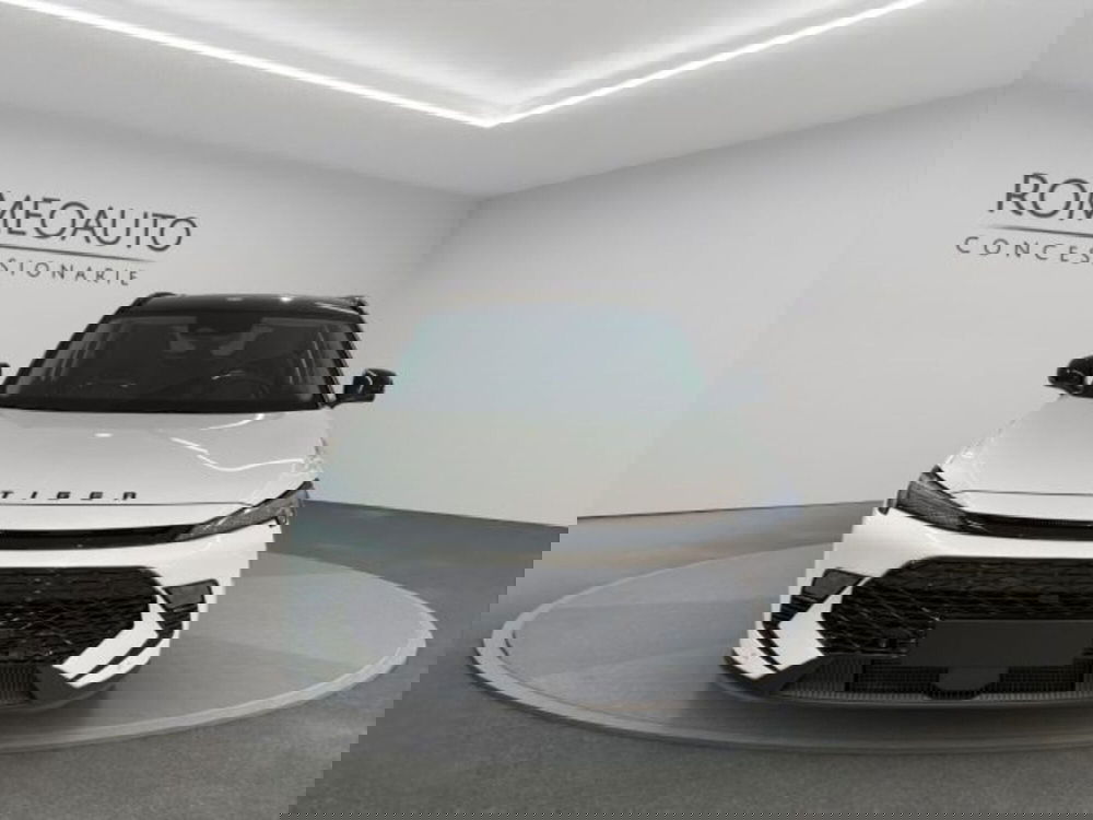 Tiger Six nuova a Perugia (9)