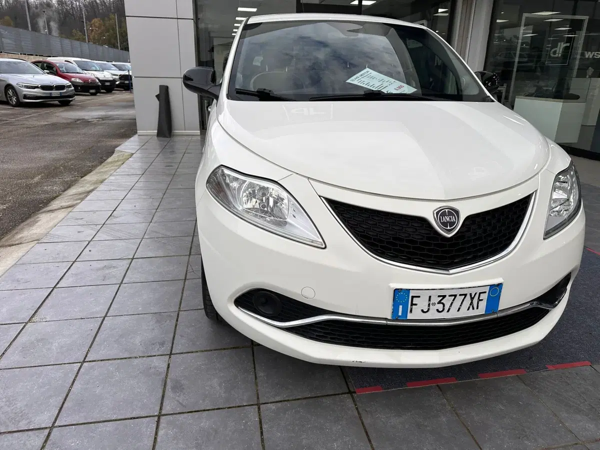Lancia Ypsilon usata a Frosinone (12)