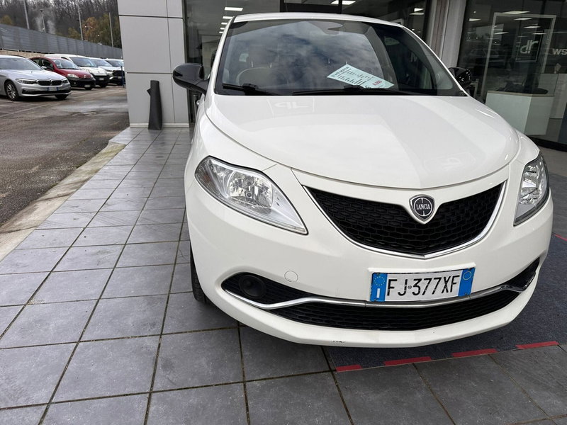 Lancia Ypsilon usata a Frosinone (12)