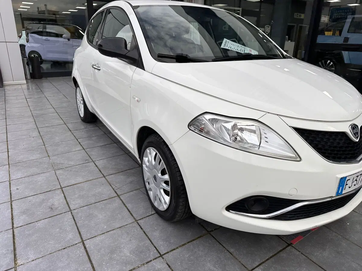 Lancia Ypsilon usata a Frosinone (13)
