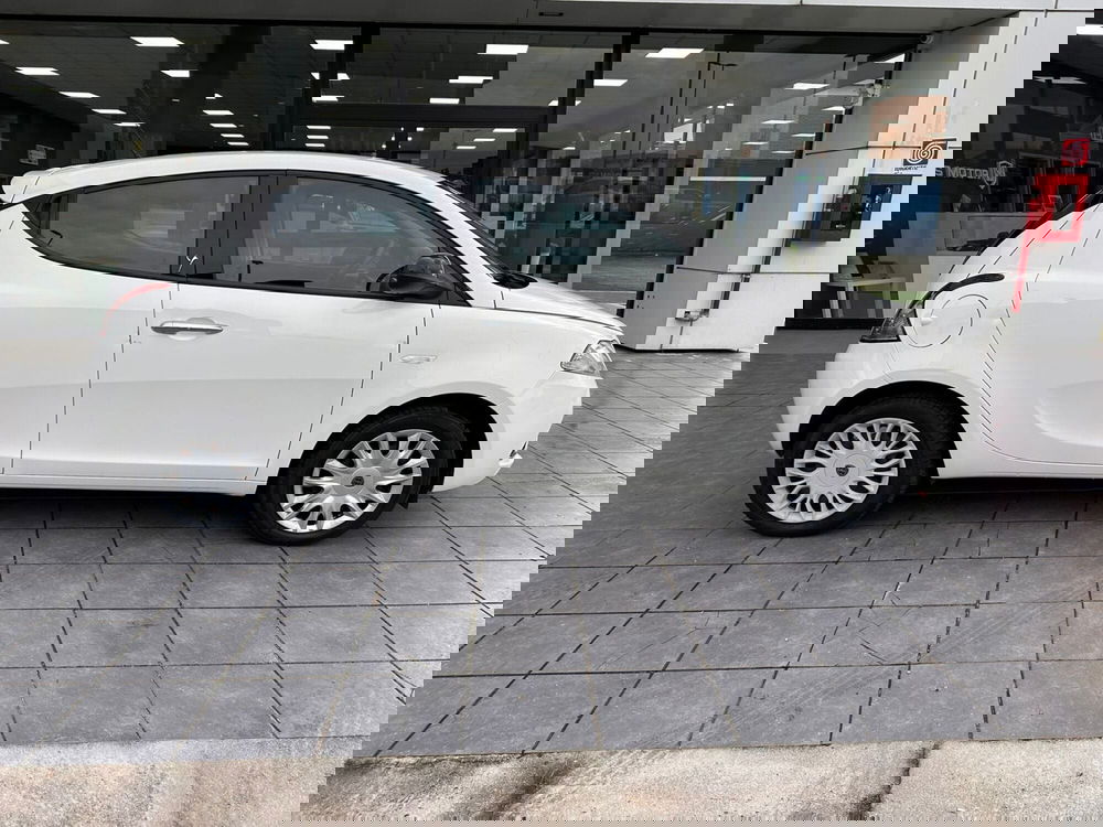 Lancia Ypsilon usata a Frosinone (15)