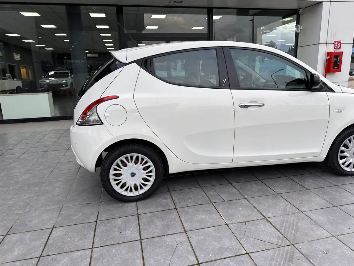 Lancia Ypsilon usata a Frosinone (15)