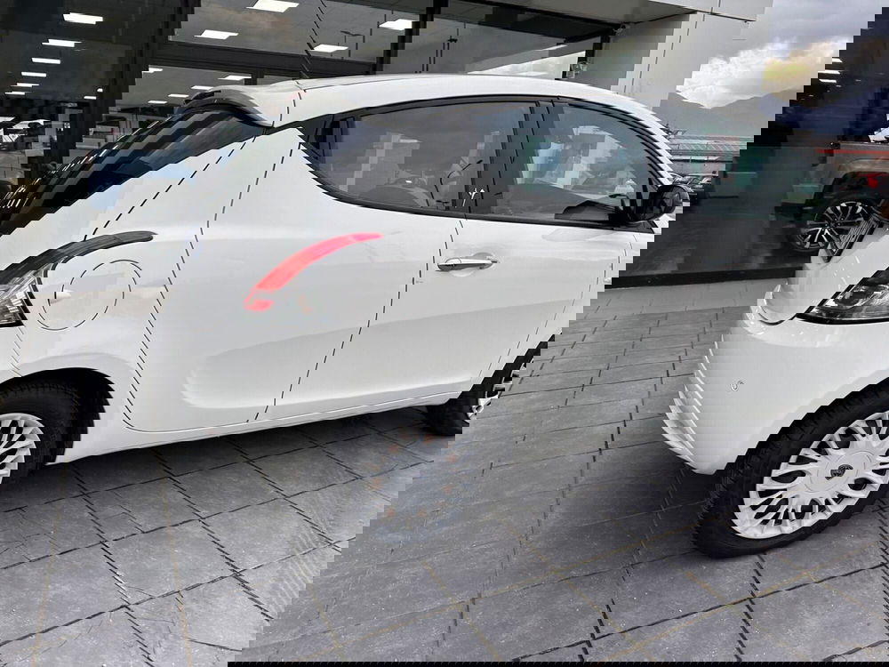 Lancia Ypsilon usata a Frosinone (17)