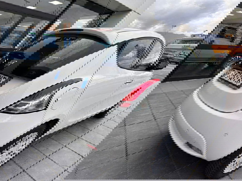 Lancia Ypsilon usata a Frosinone (18)