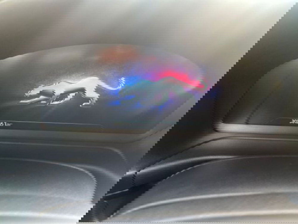 Ford Puma usata a Lodi (10)