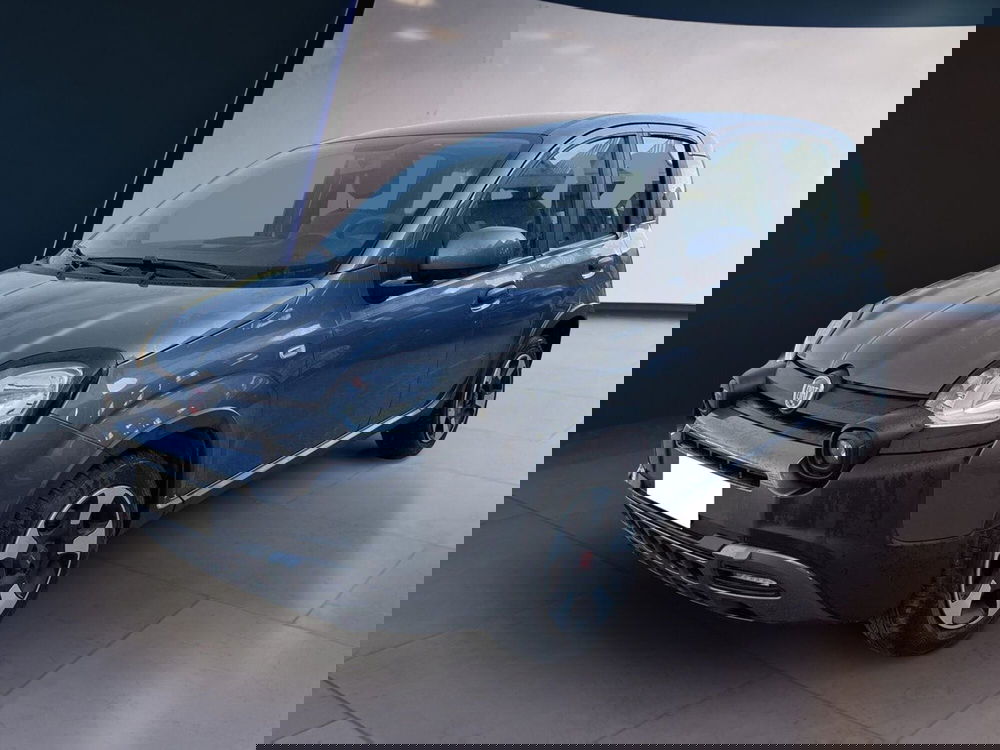 Fiat Panda Cross usata a Torino (2)