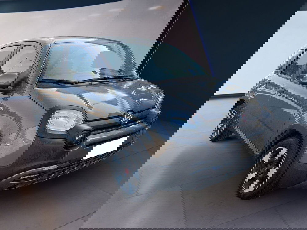 Fiat Panda Cross usata a Torino (3)